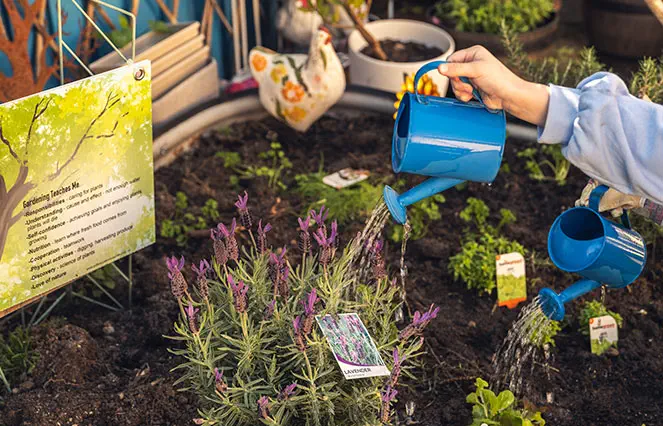 Our Programs Our Programs