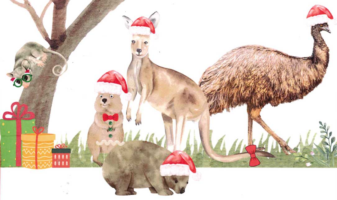 Blinky Belle Christmas Party is on Friday 12th December